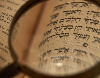 Torah-Plus-Focus